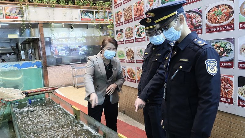 米面制品出口，商检流程全解析